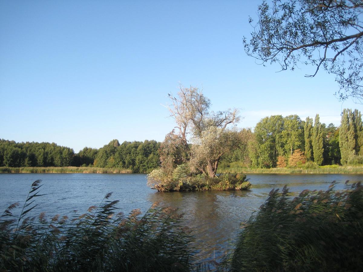 Haus Inge Appartement Heringsdorf  Buitenkant foto